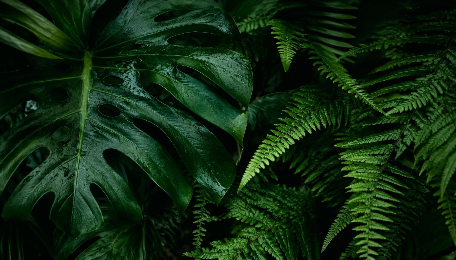 Lush green plant leaves